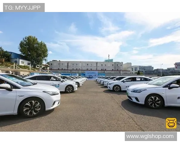 开网约车的足球明星如何在球场之外找到新人生的方向与挑战